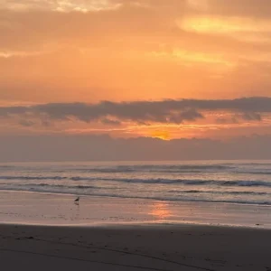 Saharan low brings extreme heat across Morocco, Meteorological Agency says