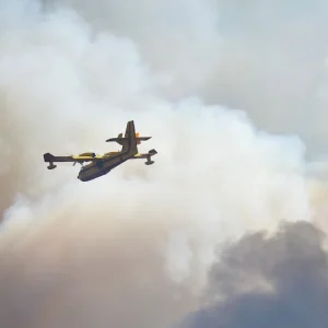 Forest fire in Taroudant’s Ounaine commune brought under control