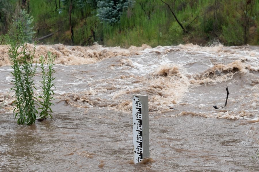 Gharb municipalities report no unusual mosquito surge after floods