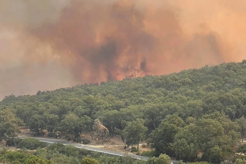 Crews near full control of Chefchaouen forest fire after four days