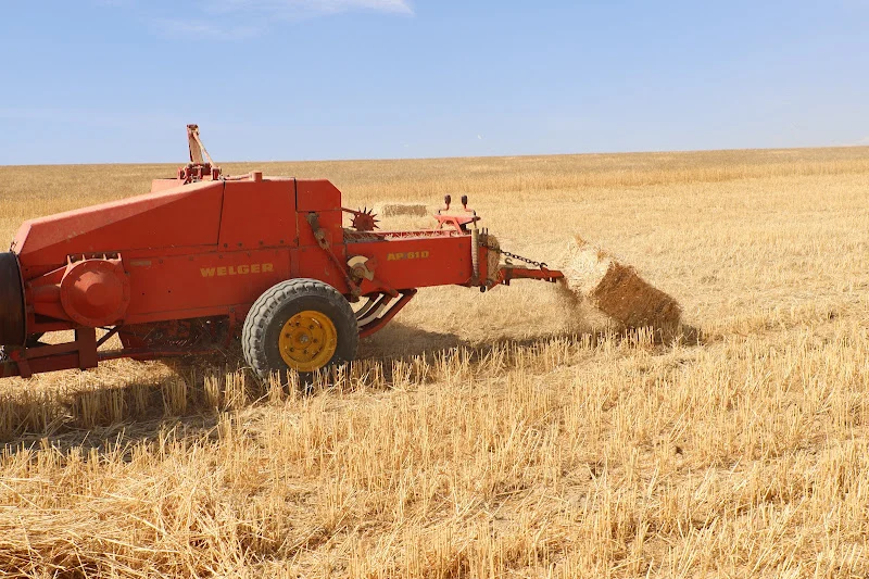 FAO warns Morocco’s expanding farmland is putting new pressure on fragile soils