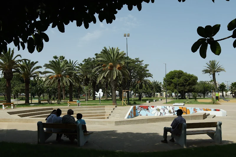 As Morocco faces harsher heatwaves, climate anxiety emerges among young people