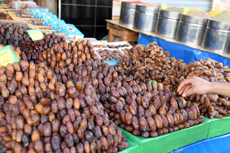 Zagora date growers forecast harvest increase of up to 15%
