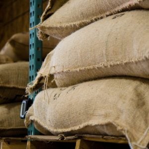 Kazakhstan turns to Morocco to store grain and reach African markets