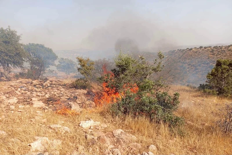 Wildfire near Agadir brought under control after strong winds fueled flames