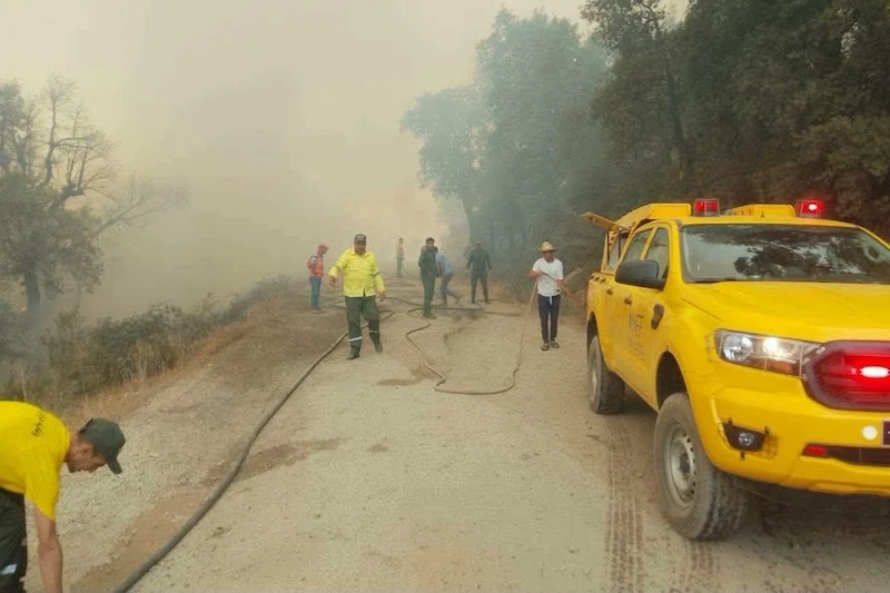 Morocco's Royal Armed Forces deploy extensive aerial fleet in national forest fire response