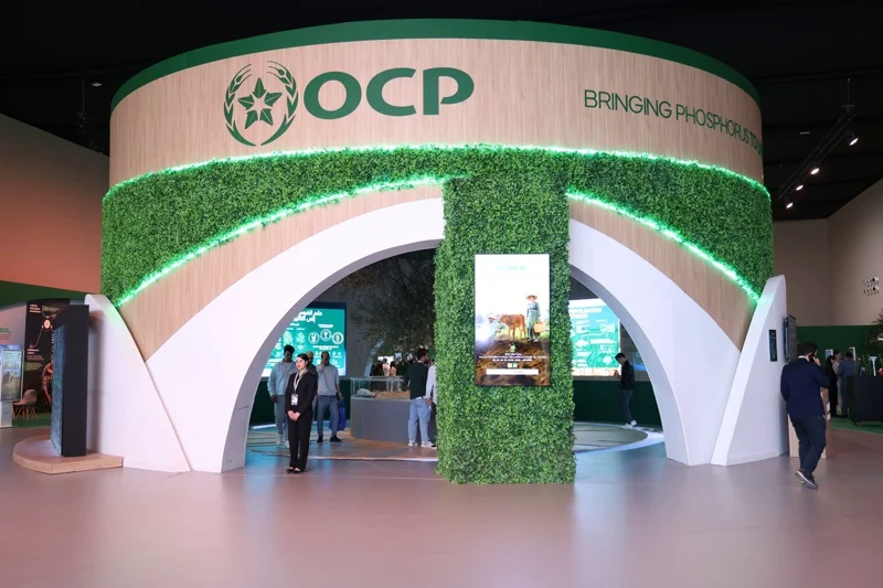 OCP profit margin holds despite sulfur shock and weaker fertilizer demand