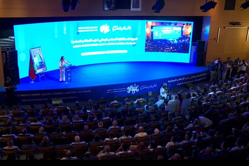 🔴  Morocco election 2026 live tracker: Internal PAM opposition to RNI alliance as later acknowledges election setback