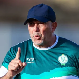 Wydad Casablanca appoints Nasreddine Nabi as head coach on one-year deal